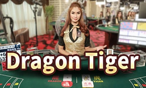 CasinoGame-dragonTiger